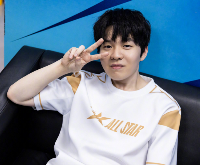 轮值稳定器 轮值稳定器